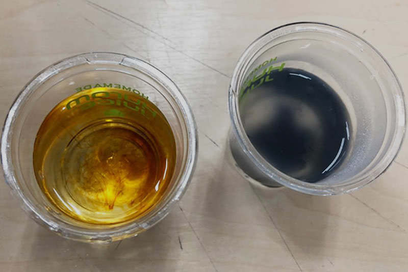 Grayns Iodine Test Results for Rice Carbohydrates